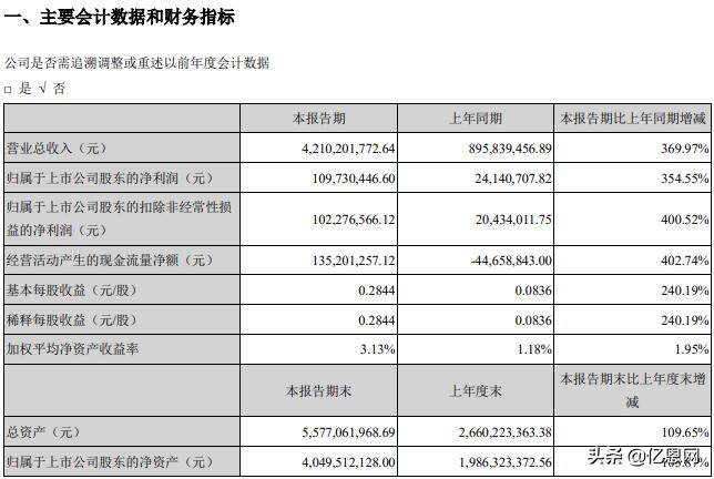有棵树跨境电商肖四清,有棵树创始人肖四清