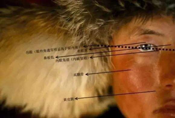 蒙古人是什么肤色的人种,蒙古人属于白种人和黄种人