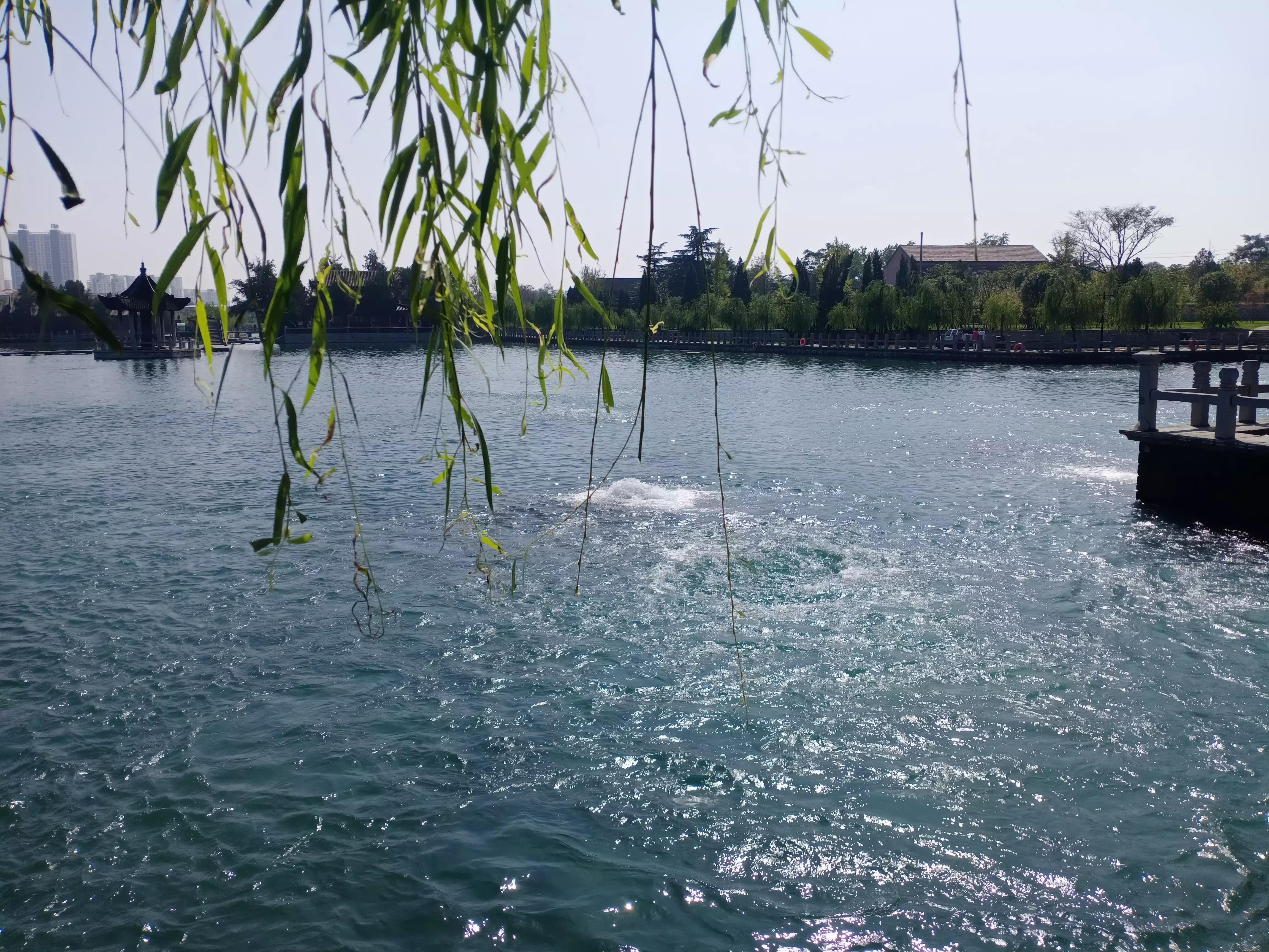 寻母路弯弯,小说连载二借腹生子