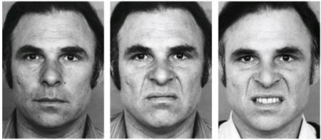 facs的全称是什么,facs面部编码系统