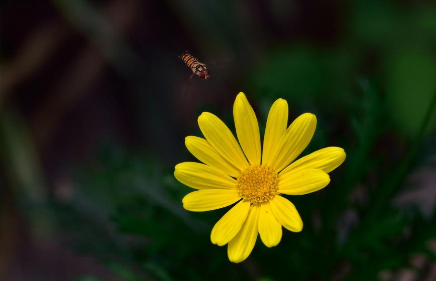 三人行古诗朗诵,三人行诗歌