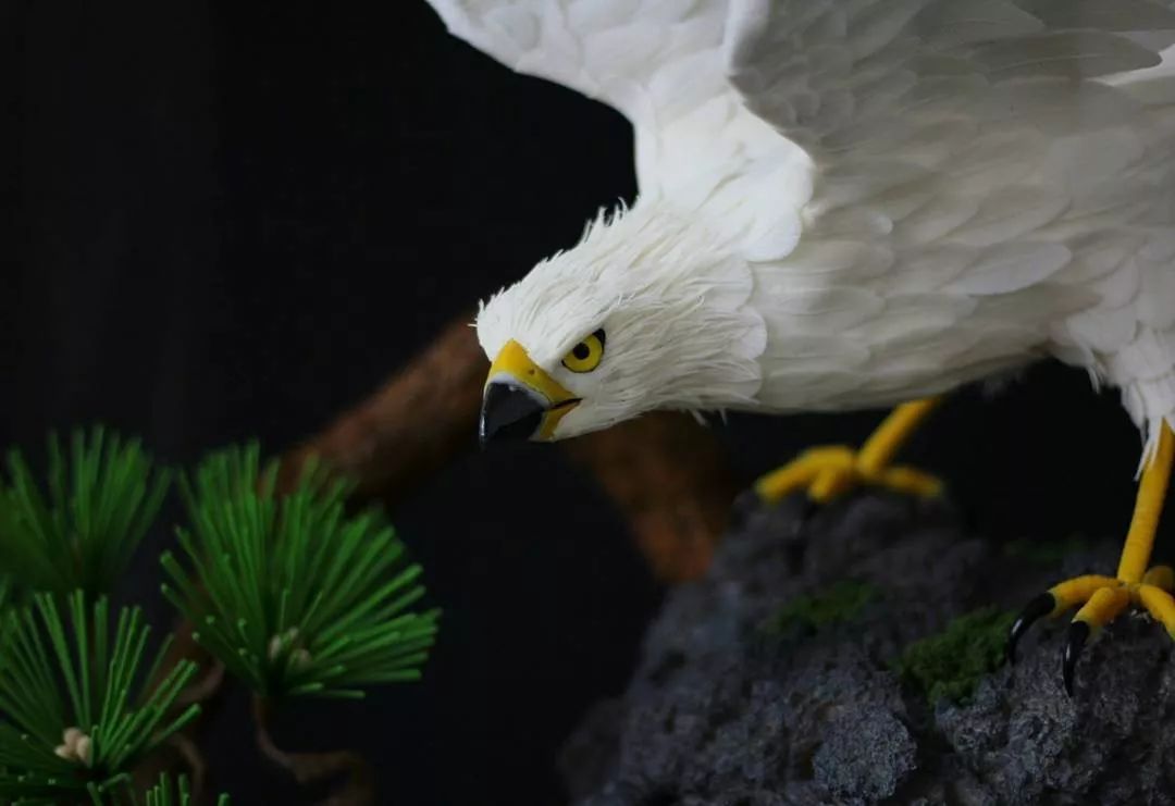 日式茶点小茶杯,日式茶点餐具
