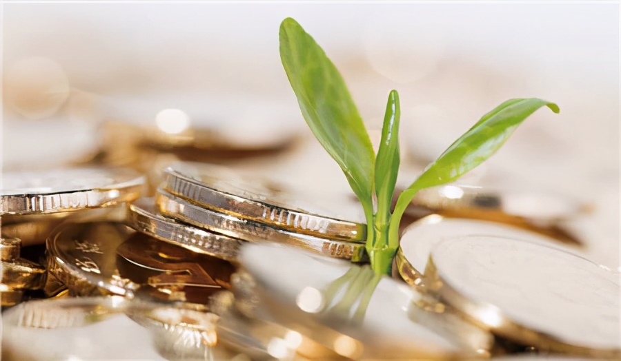 上海拍拍贷官网网址,上海拍拍贷平台网站