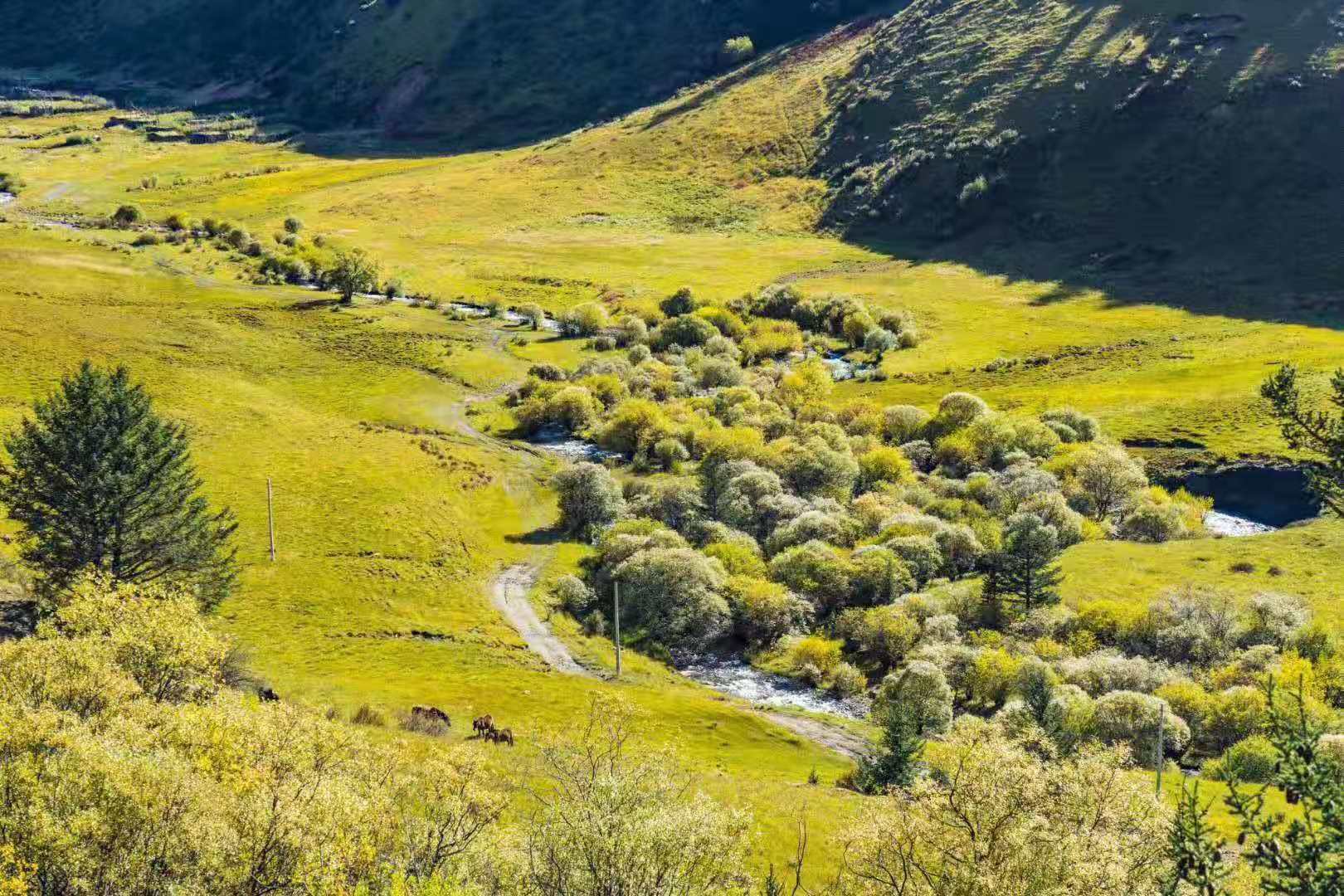 涓佺湡瑗胯棌鏃呮父鏀荤暐,宸濊タ鏃呮父涓佺湡