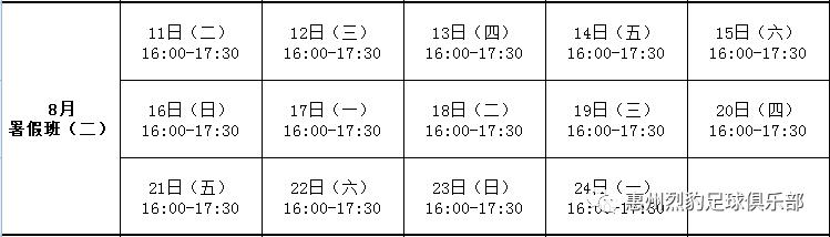 惠州烈豹足球俱乐部,惠州青少年足球赛报名