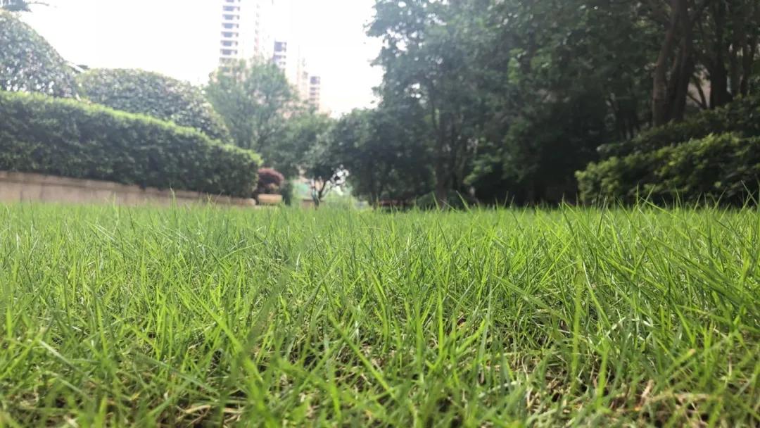 杭州金地天逸管家,杭州金地天逸城