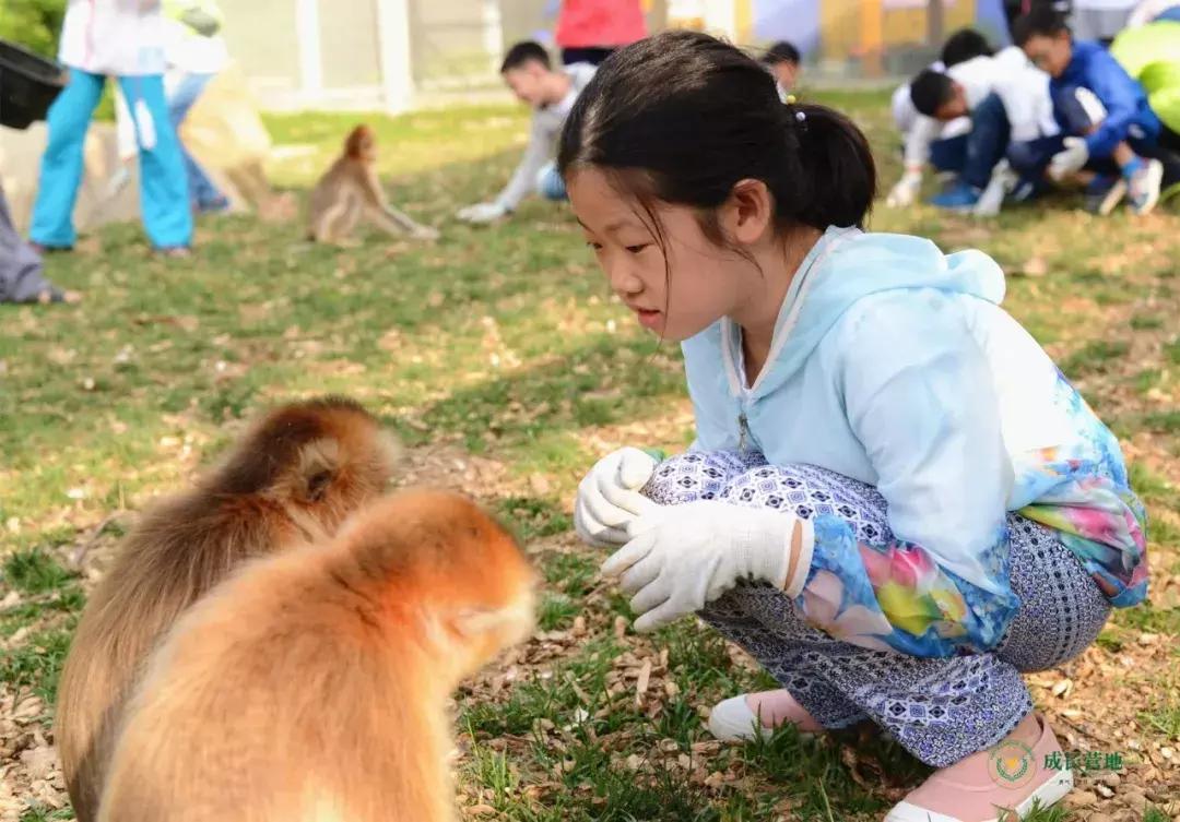 保护朱鹮,朱鹮自然保护区有利条件