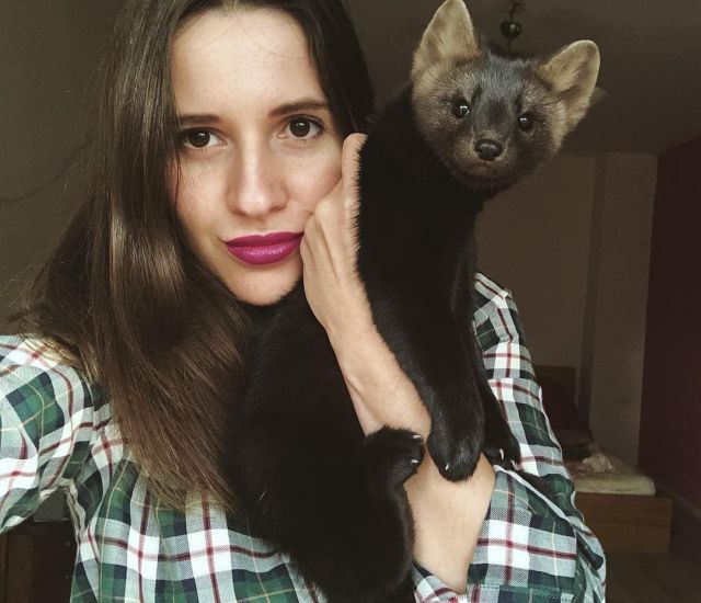 海豹北极熊为什么不怕冷,棕熊海豹