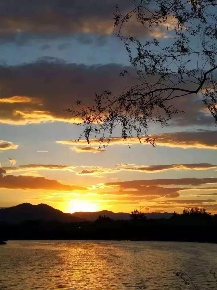 北京独门独院小四合院出售,北京四合院单身公寓