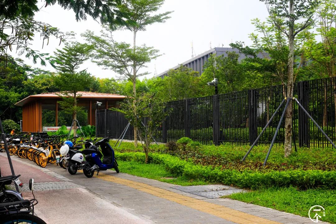 遍地华为男，深圳坂田有多绝？