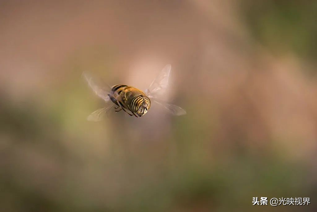 捕捉你的瞬间视频,捕捉惊艳的瞬间