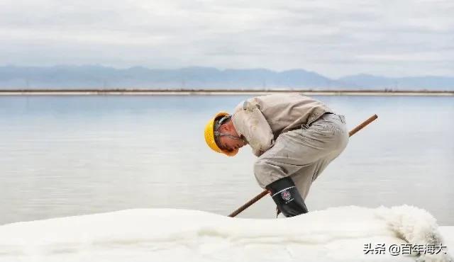 邮轮海员真实生活,海员真实生活状况