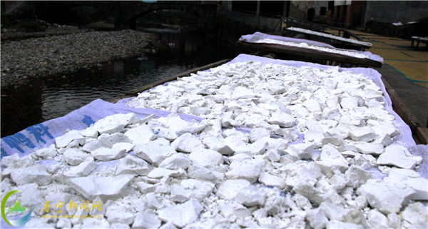 寿宁地瓜粉制作过程,寿宁煎泥鳅裹地瓜粉