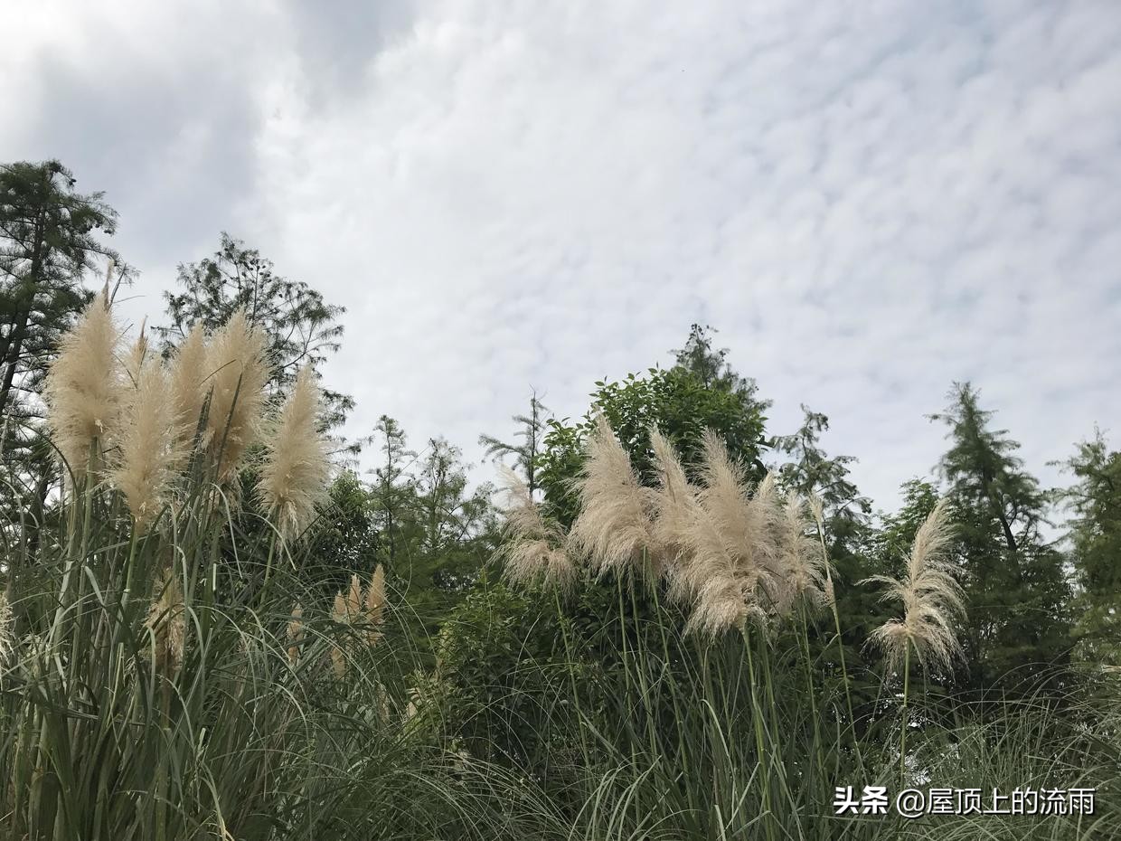 关于走出焦虑浮躁的文案,当你焦虑浮躁迷茫的时候