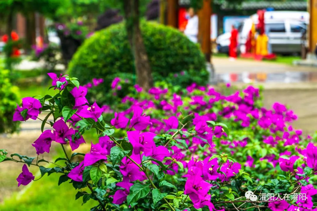 桂林周边村寨,桂林市乡野休闲山庄