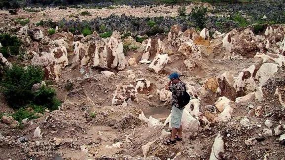 鸟粪可以消灭哪些国家,鸟粪会导致两个国家衰落吗