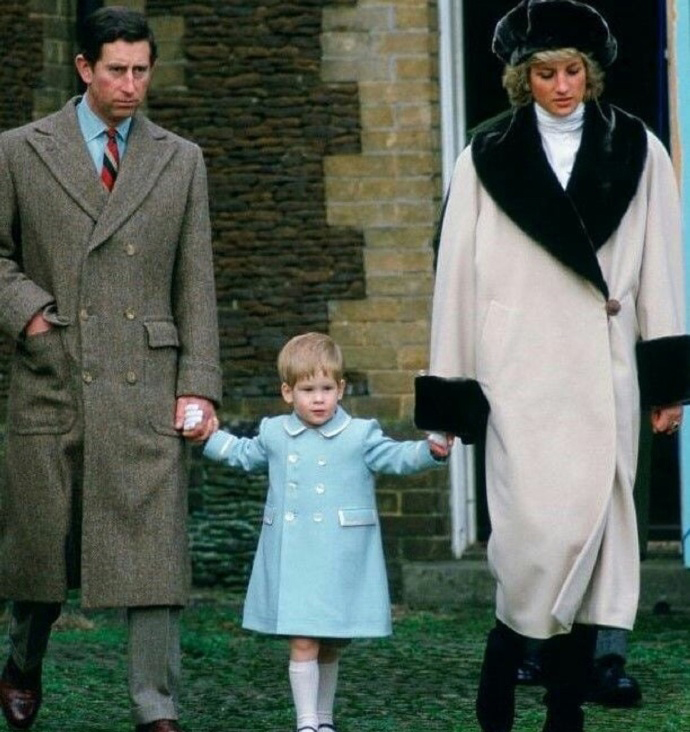 没等来皇冠,71岁的查尔斯王子确诊了,72岁卡米拉检测阴性