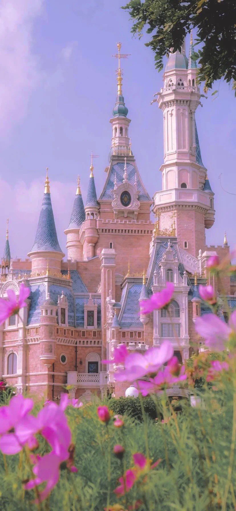 精选壁纸一组超好看的壁纸请签收,超好看的夏日清凉壁纸