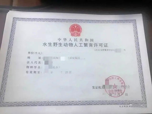 如何办理龟鳖养殖证,龟类网上交易方法