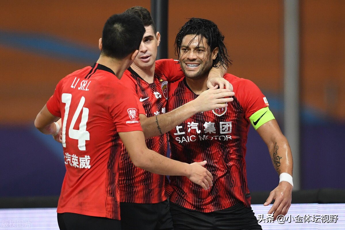 鐢宠姳鐞冨憳鍙椾激,鐢宠姳鍙椾激澶х墝澶栨彺