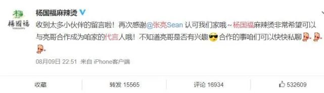 张亮麻辣烫和杨国福是亲戚吗,张亮和张亮麻辣烫什么关系