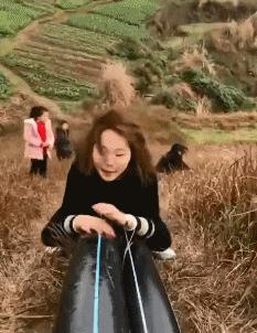 搞笑gif狗子我为这个家操碎了心,搞笑gif图片狗子都开始学坏了