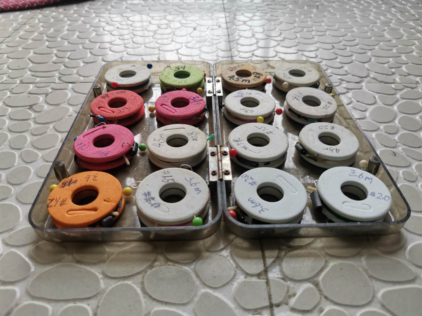 妄想山海鲮鱼成熟后怎么进阶,钓鲮鱼1.5主线0.8子线可以吗