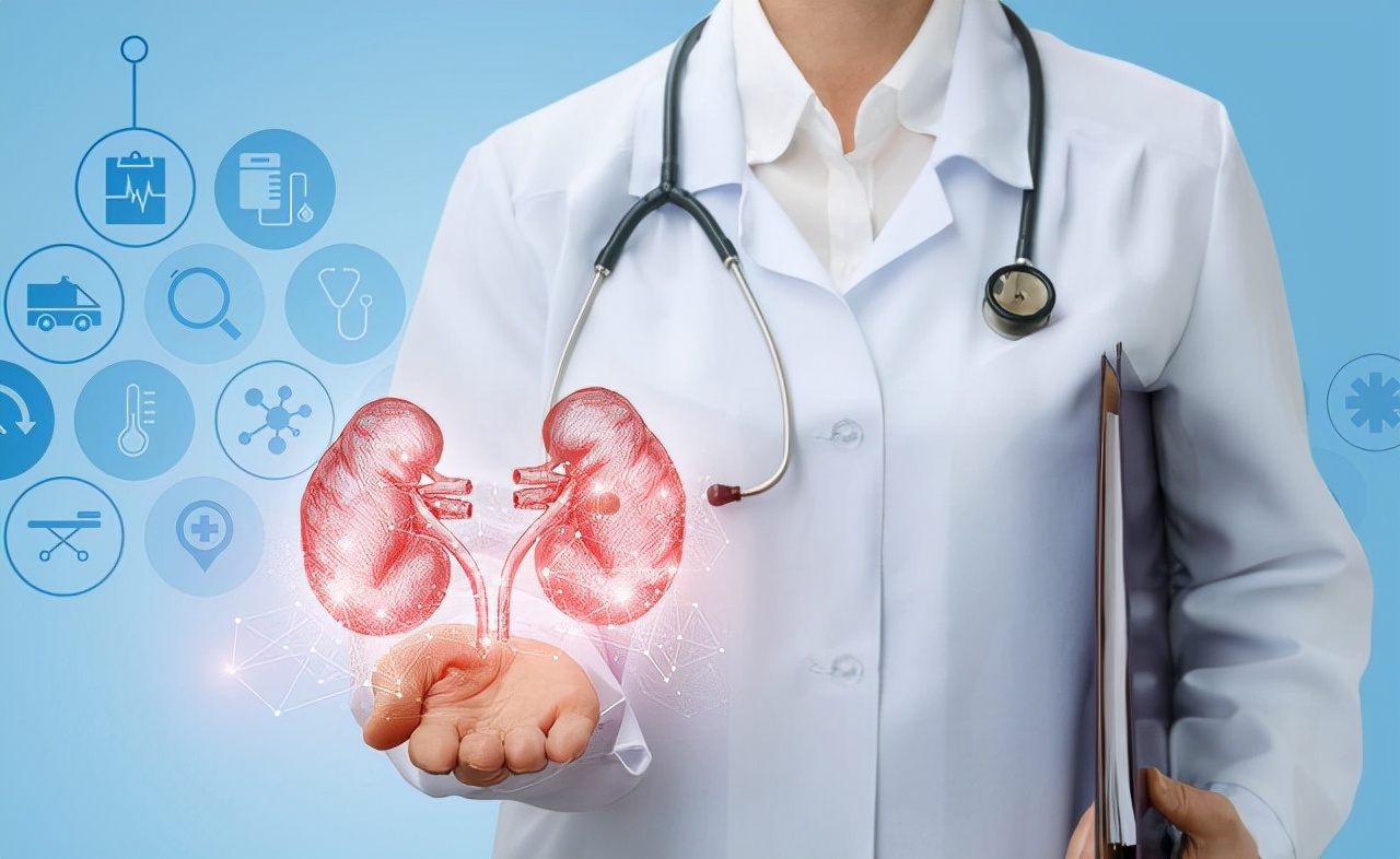 尿隐血有加号红细胞高怎么回事,尿隐血一定是肾出问题了吗