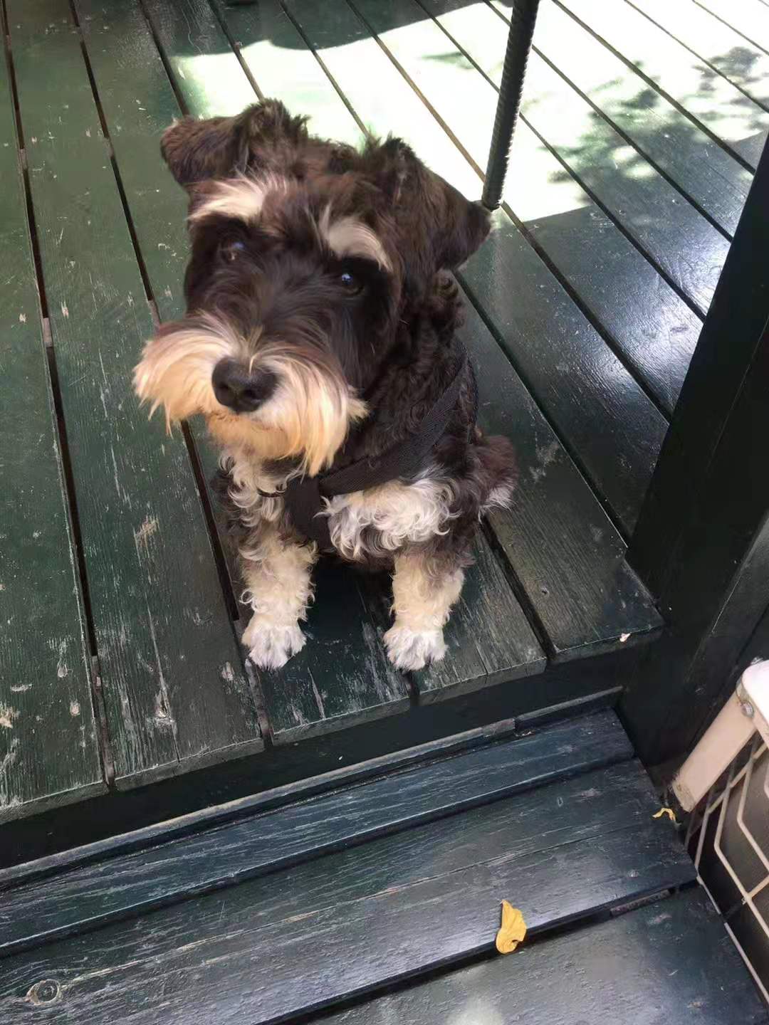 创业创新商业机会识别感想,创业ceo资源整合能力感悟