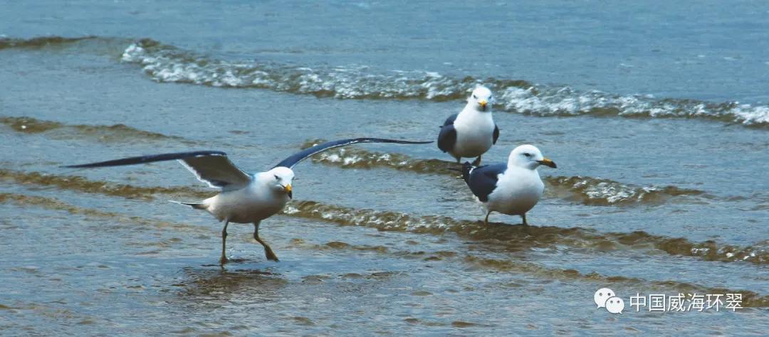 环翠景色,环翠美景