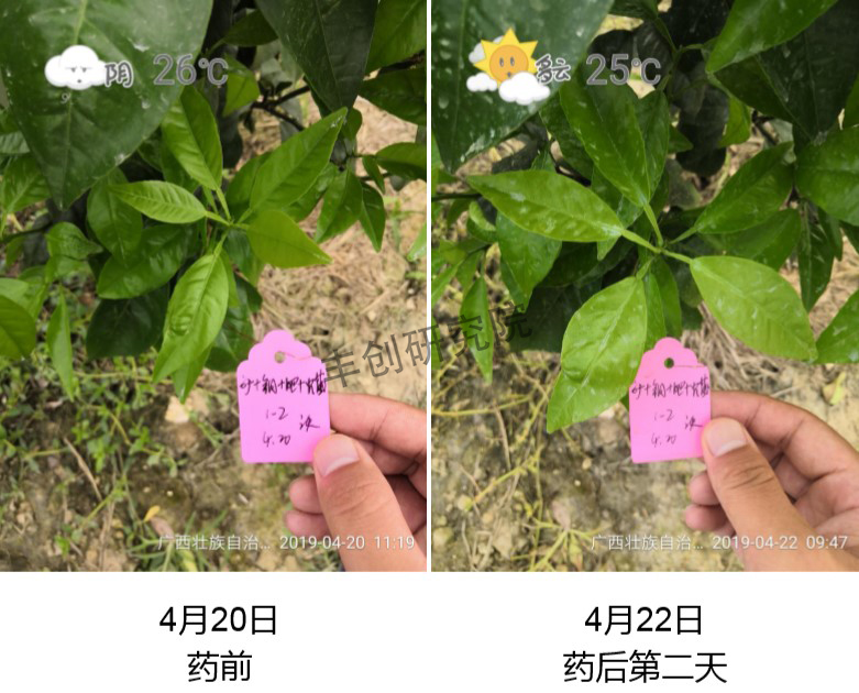 矿物油冬季清园配方和做法,冬季清园打矿物油有注意什么