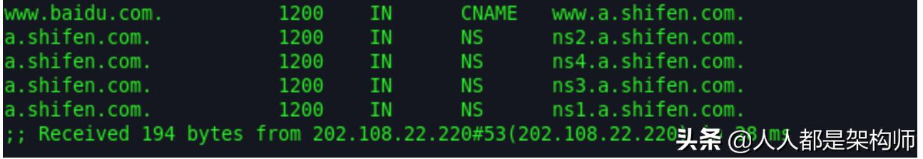 请简要描述dns解析过程,dns原理入门指南超清晰