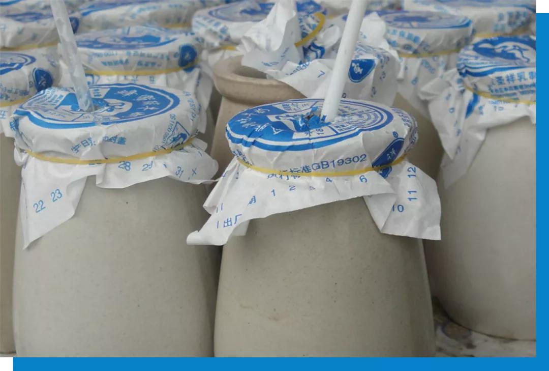 第一次做酸奶真的很不容易,酸奶啊在抖音发布了新作