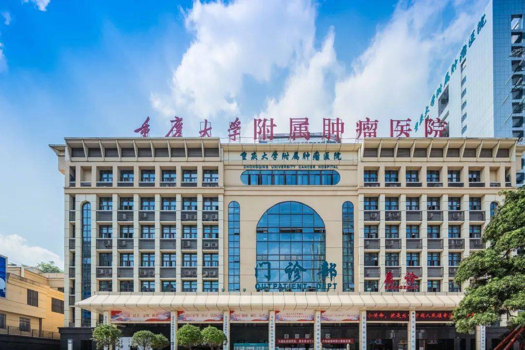 网友建议“吉林大学白求恩医学部重新独立出来”，强调改革必要性