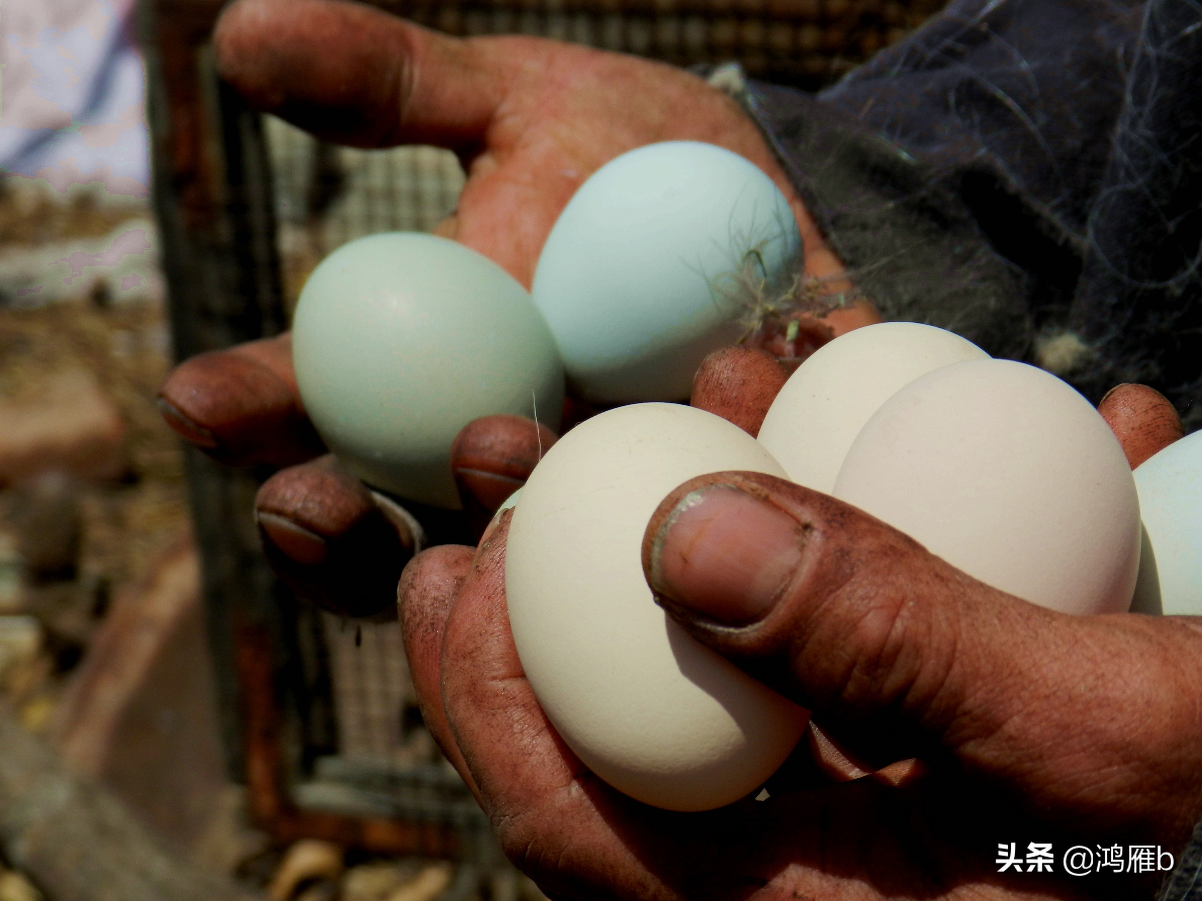 本溪小众秘境,本溪神秘山村