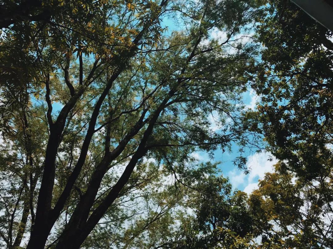 曼谷必买，清迈必玩，二刷泰国经验帖带你避坑