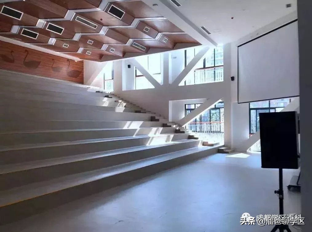 大源片区小学排名,高新区大源片区学校排名