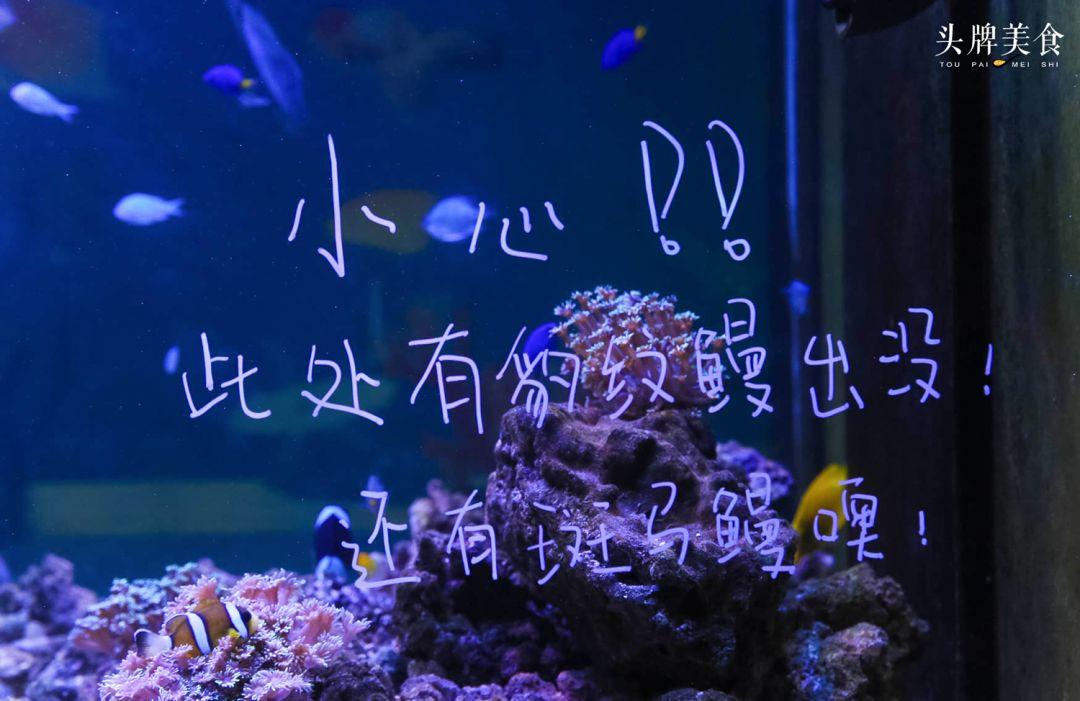 绚丽珊瑚海300+种海底生物，火爆盆友圈的网红打卡圣地就在中山路