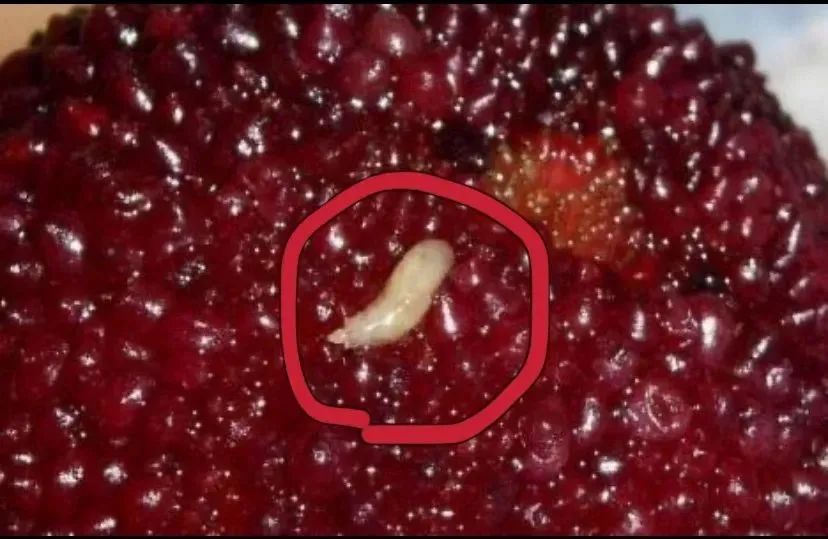 这三种水果儿童不能吃,这五种水果小孩少吃