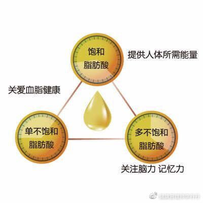 一年四季一日三餐必不可少的油,一日三餐必备食用油