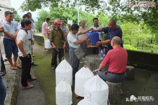 记住乡愁容县篇,记住乡愁视频美食