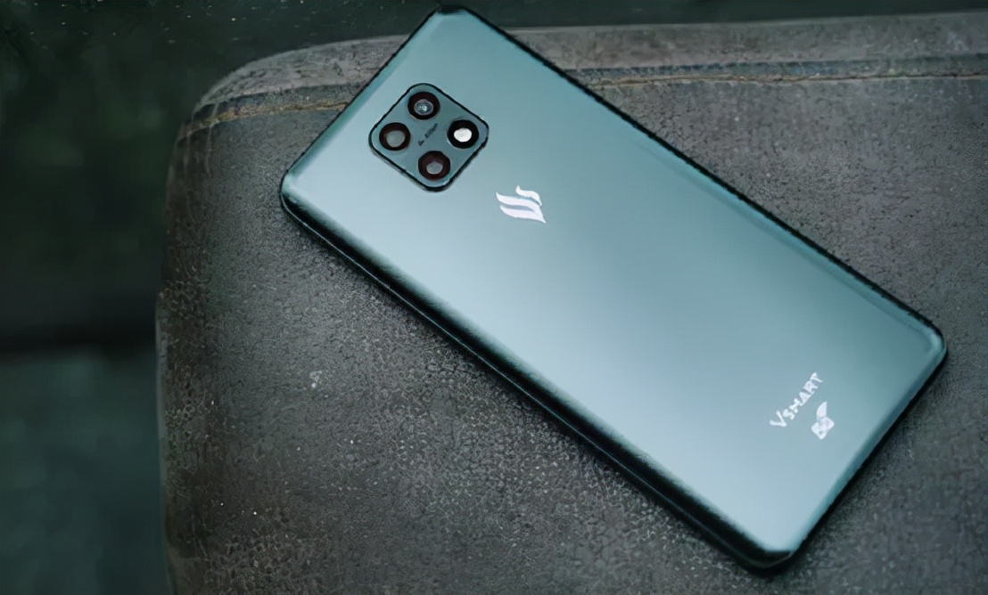 越南鞋业巨头,越南鞋业公司