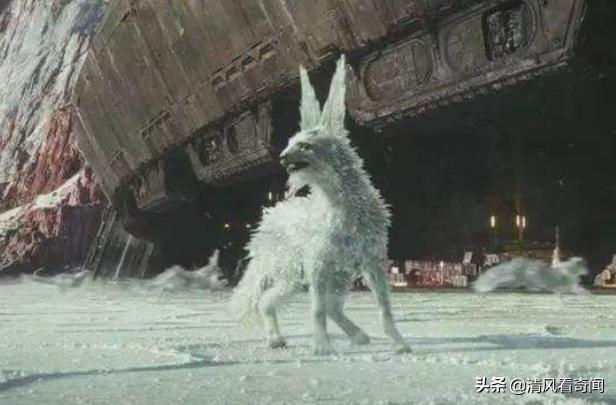 竟然不是特效！25000个晶体制成水晶狐狸，转头的那一刻，惊艳了