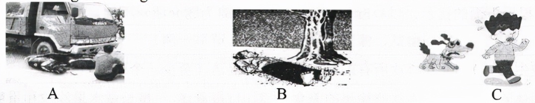 2023-2024学年度第一学期学情检测,2021至2022学年度第一学情监测