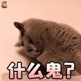 gucci彩虹新款松糕鞋 (gucci厚底带钻小白鞋)