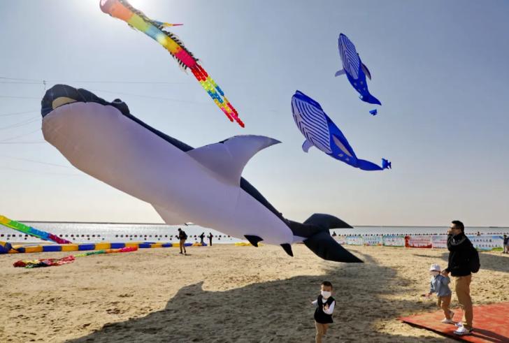 上海金山打造上海湾区,上海金山湾区最新规划