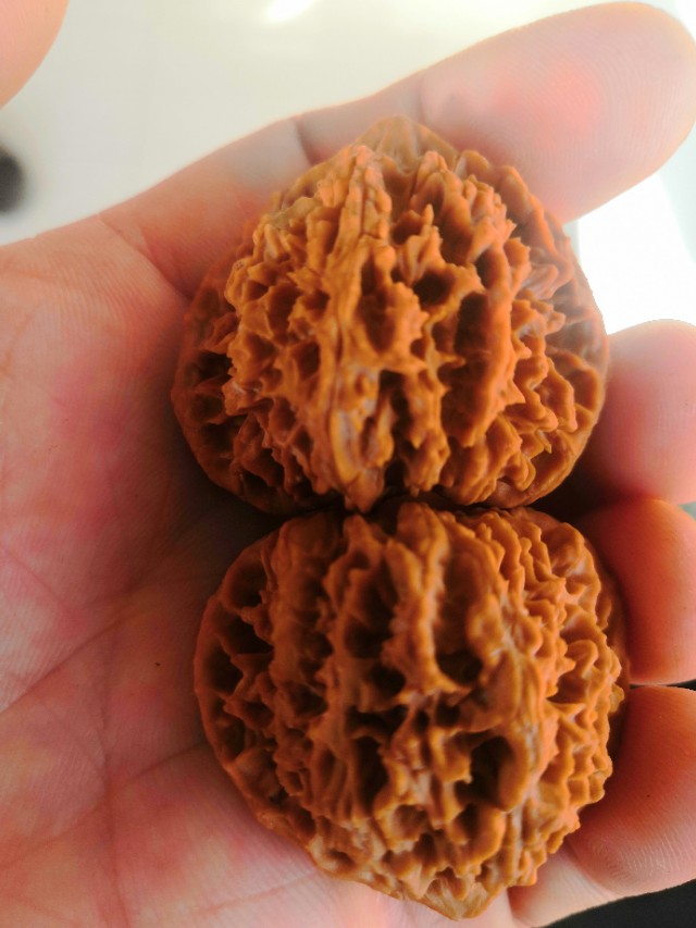 文玩核桃野生品种,核桃文玩品种官帽