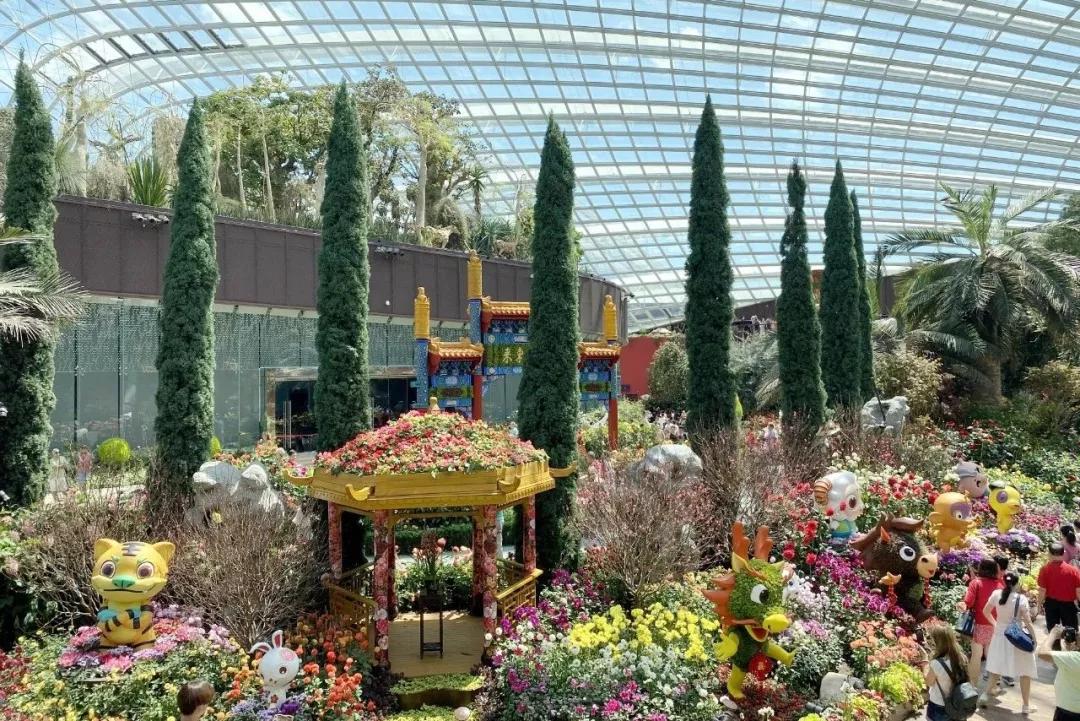 疫情期间去埃及旅游的亲历,疫情期间从深圳直飞洛杉矶体验