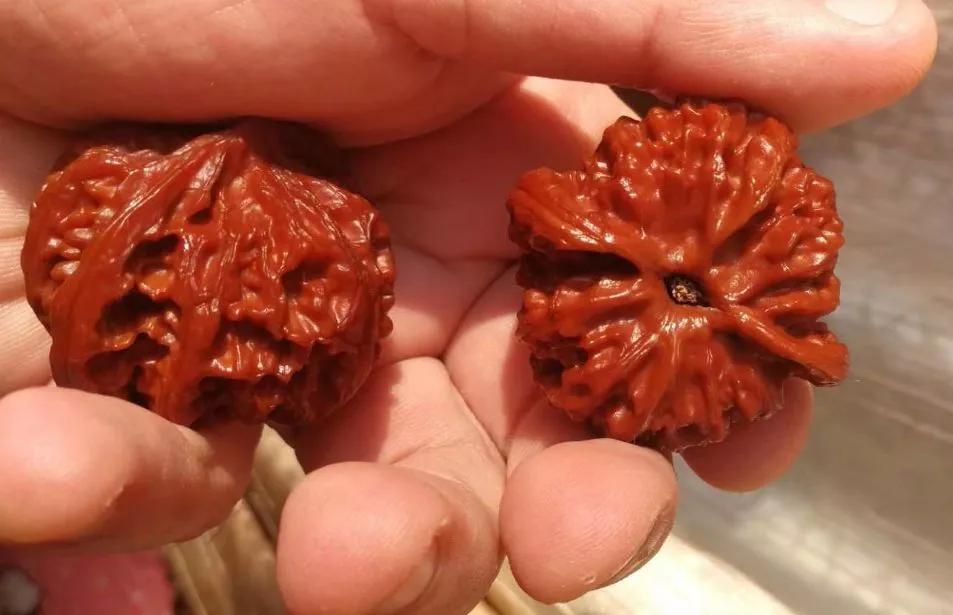 核桃怎么玩步骤,核桃该怎么玩