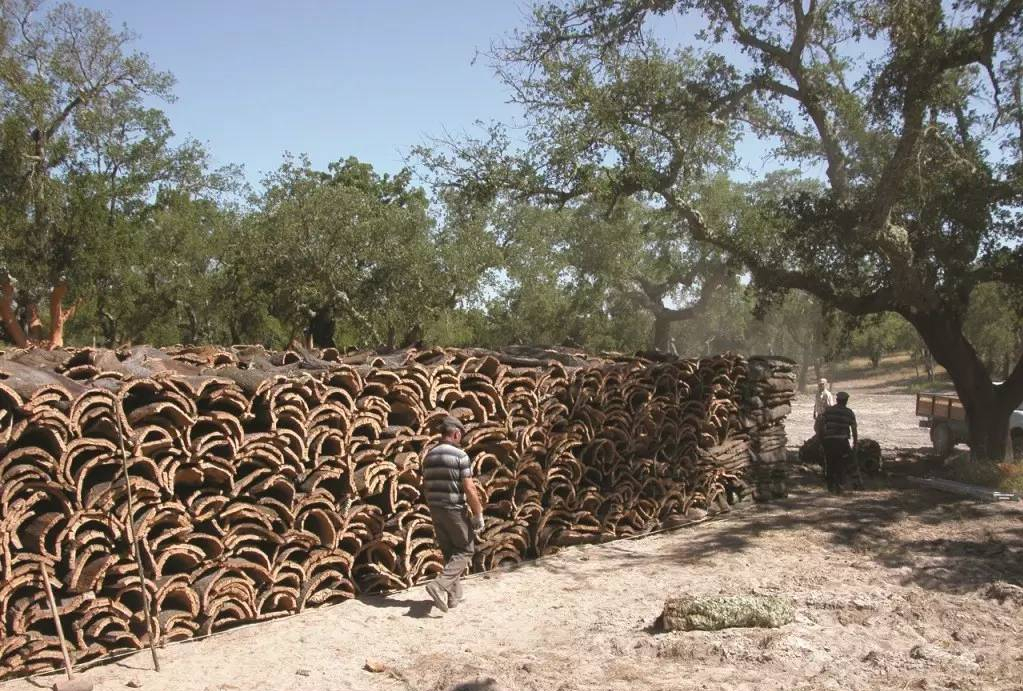 威士忌软木塞如何保存,威士忌为什么用木塞